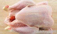 Halal Whole Frozen Chicken