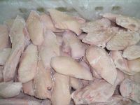 Frozen Chicken Breast Boneless Skinless