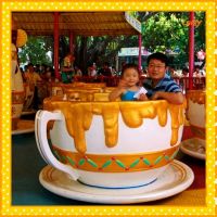 2014New design rotate tea cup amusement rides