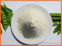 Sell isolated soy protein ST Pro900