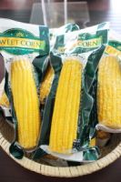 2016 New Crop Sweet Corn in Vacuumed Bag