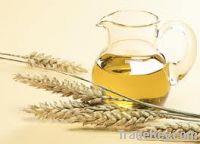 Sell High quality of Wheat Germ Oil