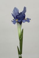 Sell Iris Silk Flower Stem