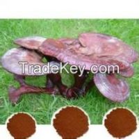 reishi polysaccharide extract from factory