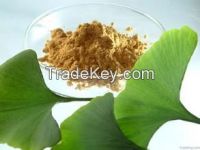 ginkgo biloba extract GMP FDA certified