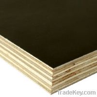 Sell common plywood