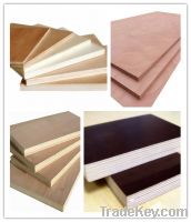 Kinds of Plywood