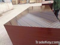 Imported Film Faced Plywood