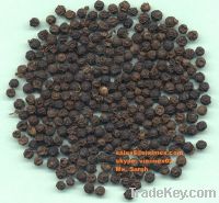 Vietnam black pepper 500g/l 550g/l good price skype: visimex02