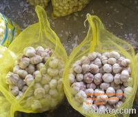 Vietnam Garlic good price skype: visimex02