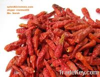 Vietnam red Chilli good price skype: visimex02