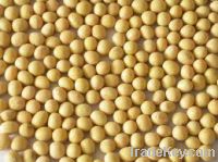 Vietnam Soya Bean good price skype: visimex02