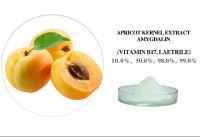 Apricot kernel extract Vitamin B17 / Laetrile/AMYGDALIN