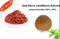 Wolfberry Extract GOJI POWDER