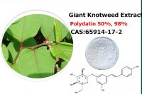 Polygonum cuspidatum extract powder Polydatin 50%98%