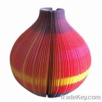 Pop-up Vase Memo