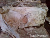 Sell Wet Salted Donkey Skins