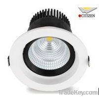 Selling NEWEST CITIZEN LIGHT SOURCE DOWN LIGHT--RDS LIGHTING