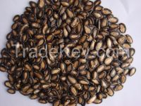 Watermelon Seeds, Black Watermelon Seeds, Yellow Watermelon Seeds