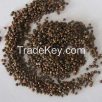 White & Brown Perilla Seeds