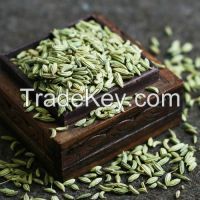 Fennel Seeds, Fennel Seeds Extract