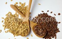 Best quality Brown and Golden Flaxseed 99% Pure