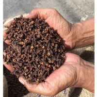HIGH QUALITY 100% Dried Organic Cloves, Dried Madagascar Cloves