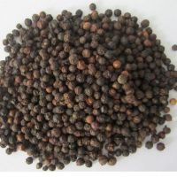 Black Pepper, Bulk Black pepper 500gl - 580gl