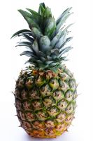 FRESH PINEAPPLE / FRESH GOLDEN PINEAPPLE (MD2) / FRESH TROPICAL PINEAPPLE