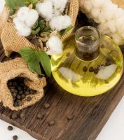 High Quality Cotton Seeds and Cotton Seeds Oil