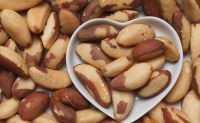 A Grade Premium Quality Brazil Nuts / Organic Brazil Nuts