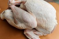 Halal Whole Frozen Chicken and Parts