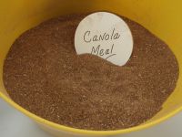 Rapeseed Meal / Canola Meal / Mustard Meal / Sunflower Meal
