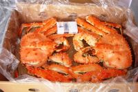 Frozen King Crabs, Frozen Crab Legs, Live King Crabs