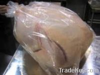 Sell whole chicken