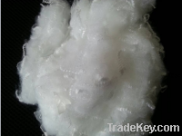 Sell supply high quality polyester staple fibre/PSF