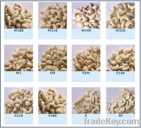 Sell Cashew Nuts (All grades)