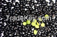 Organic black soy bean