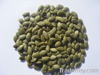 Sell Shine Skin Pumpkin Seed Kernel