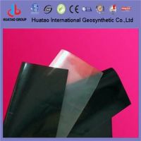 Textured surface geomembrane