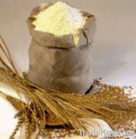 Sell wheat flour, wheat, corn, barley