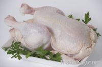 Sell grade A frozen chicken for sale