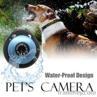 wholesale pet camera HD 720P water proof up to 32G TF card