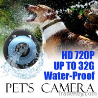 Sell pet camera water proof HD TF card up to 32G