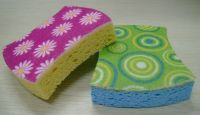 Cellulose Sponge