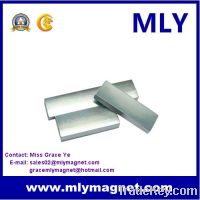 Sell Neodymium Rare Earth Arc Motor Magnet