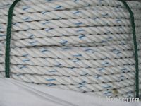 Sell PP rope , plastic rope