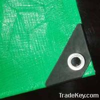 Sell green plastic tarpaulin , pe color tarpaulin