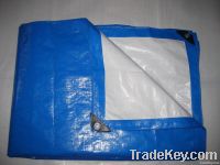 Sell Blue/White plastic tarpaulin , pe , pp tarpaulin with any color