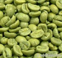 Export Coffee Beans | Arabica Coffee Beans Suppliers | Robusta Coffee Beans Exporters | Coffee Bean Traders | Wholesale Coffee Beans | Buy Coffee Beans | Bulk Coffee Bean | Green Coffee Bean Buyer | Low Price Roasted Coffee Bean | Import Coffee Bean | Cof